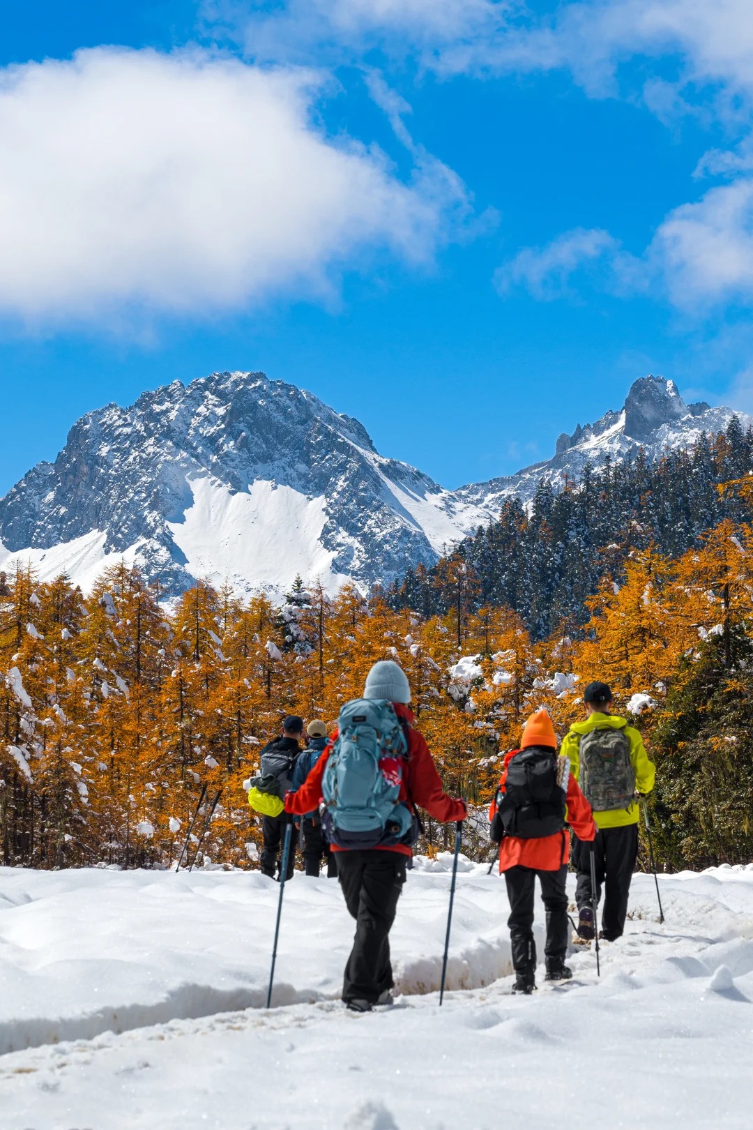 下雪后的阿布吉措直接封神_1_云南徒鹰📷_云南-香格里拉-来自52tours 我爱旅游网
